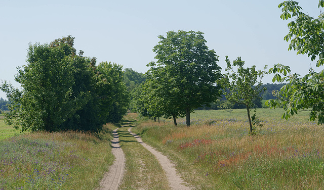 Landweg