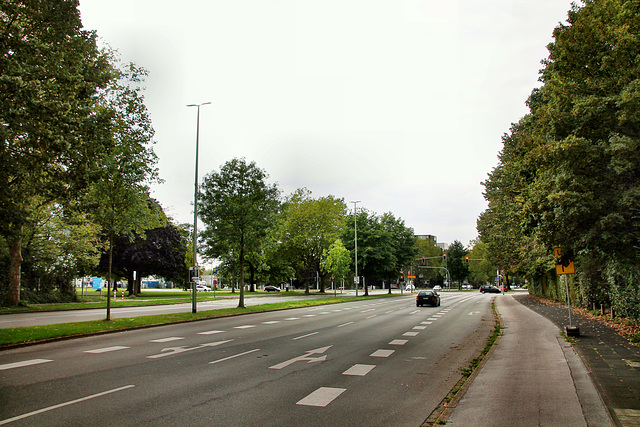 Wiener Straße (Duisburg-Neumühl) / 6.09.2020