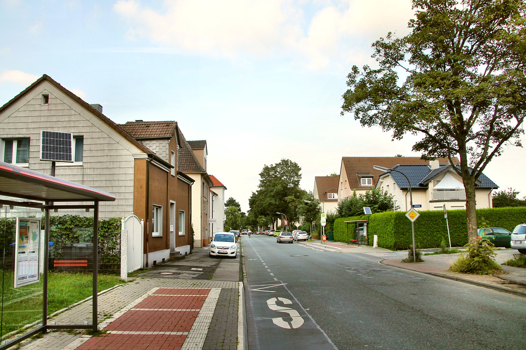 Op de Veih (Wattenscheid-Höntrop) / 30.08.2021