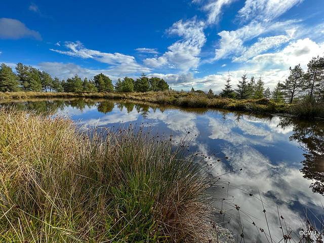 Lochan by The path from the Fyrish Monument