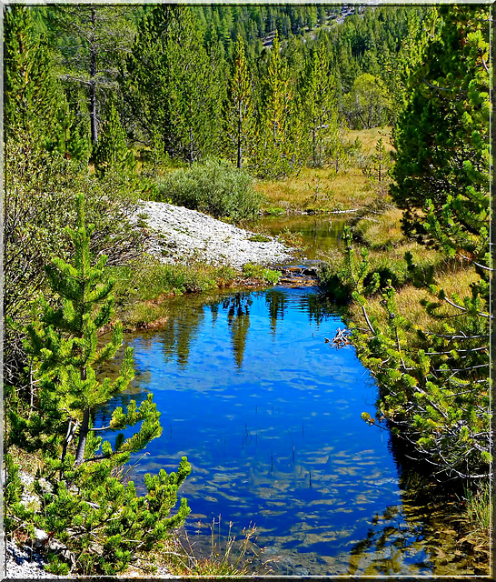 Una sorgente di acqua cristallina  a 2000 mt