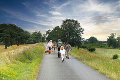 Mit Eseln durch den Nationalpark Unteres Odertal - With donkeys in the Lower Oder Valley National Park