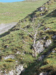 ppd[25] - Dovedale {2 of 3}