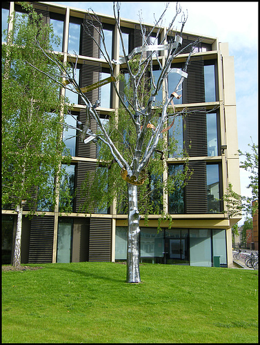 fake tree to hide carbuncle