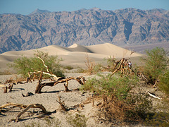 Mesquite Flat Sand Dunes