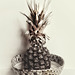 pineapple 2