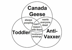 cvd - venn diagram; toddler, geese, anti-vaxxer