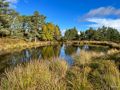 Lochan by The path from the Fyrish Monument