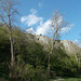 ppd[25] - Dovedale {3 of 3}