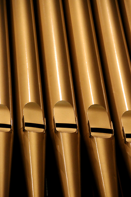 Pipe organ (Explored)