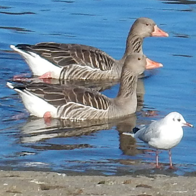 Winterurlaub in Sachsen - sie sparen sich den Flug in den Süden