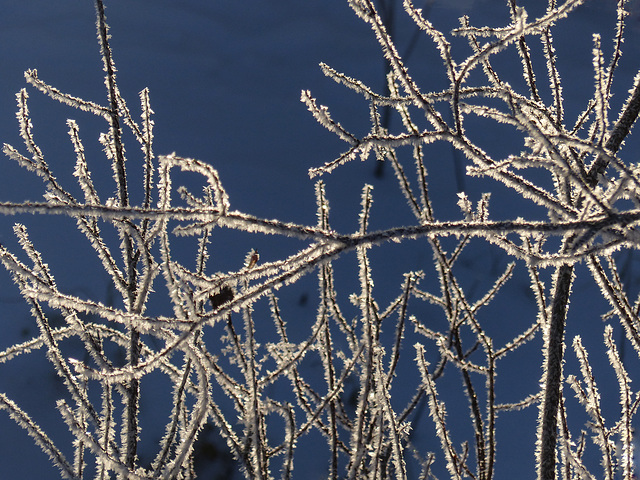 A delicate touch of hoar frost