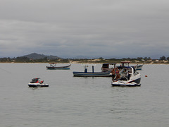 DSCN6037