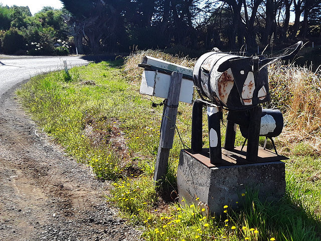 Wilmot mailbox