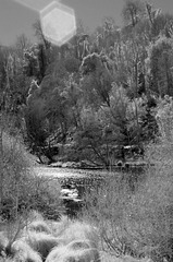 Swanbourne Lake