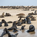 Namibia-0261