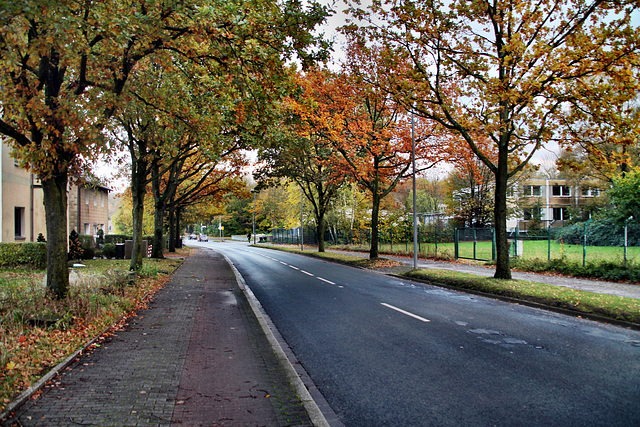 Hiltroper Straße (Bochum-Grumme) / 11.11.2023