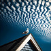 Altocumulus clouds