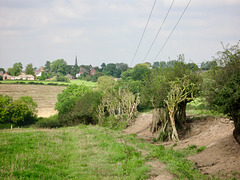 Looking back to Normanton le Heath about half way to Swepstone
