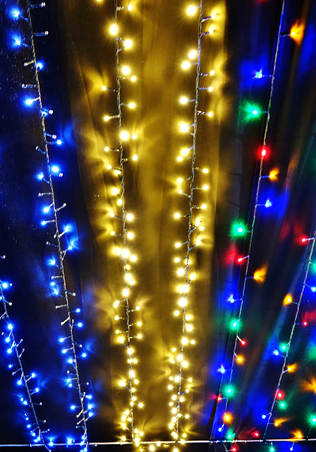 Christmas arrives at the Garden Centre Christmas arrives at the Garden Centre