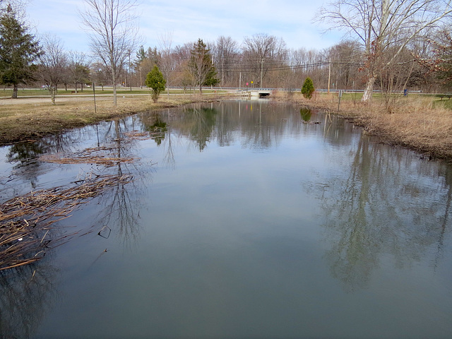 Flooded Bell River