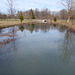 Flooded Bell River