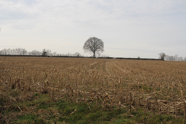 CAMPAGNE  DU BERRY