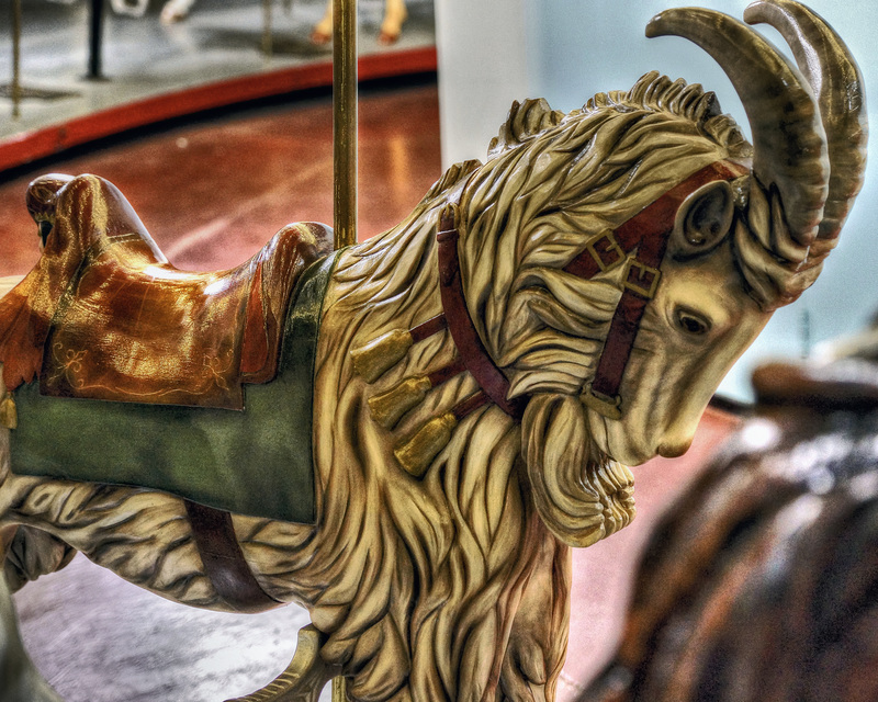 Got Your Goat! – Looff Carousel, Eldridge Park, Elmira, New York