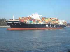 Containerschiff MSC ARBATAX