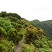 Azores, The Island of Faial, Path on the Ridge of Caldeira
