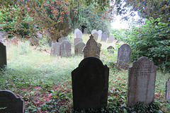 pelynt church, cornwall (24)