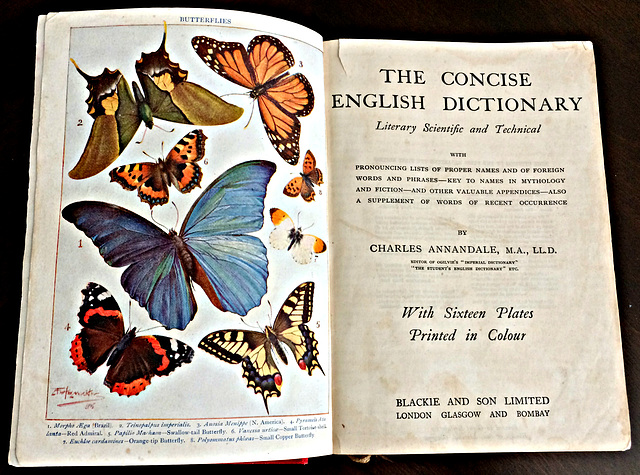 THE CONCISE ENGLISH DICTIONARY