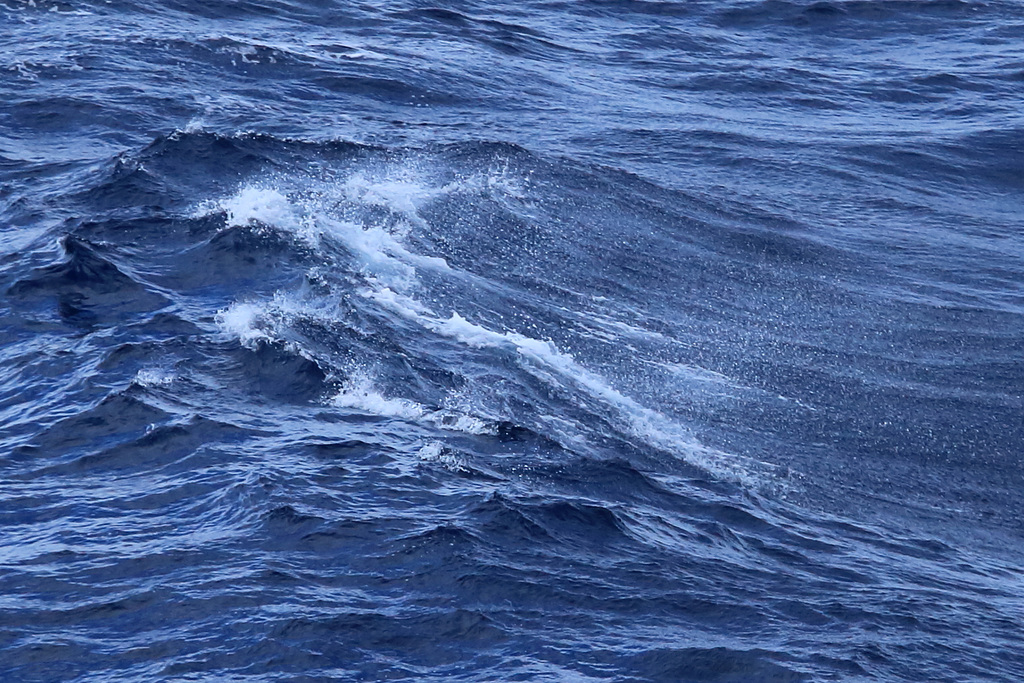 Western Caribbean  124