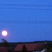 Der Vollmond über Schwaderloh