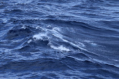 Western Caribbean  125