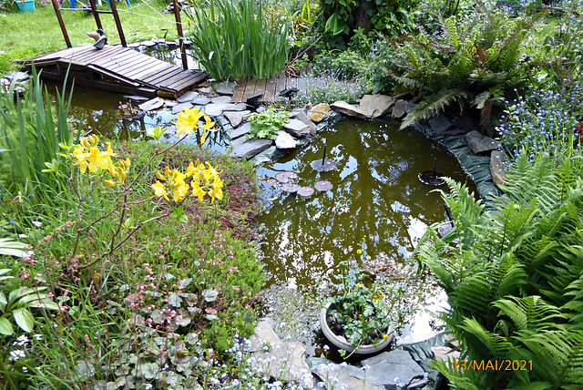 les bassins du jardin de mon épouse