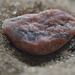 Ein Steinchen im Sand