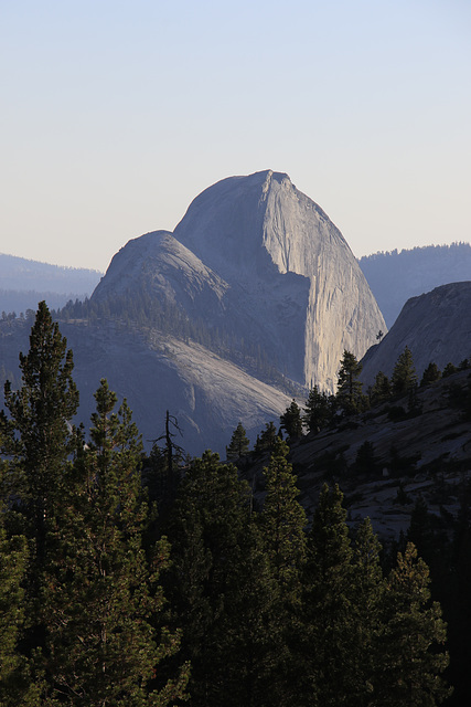 Half Dome from Olmstead Point