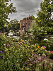 River Stour in Canterbury