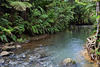 Karamaturu Stream near the sea.