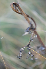 DSCF1627