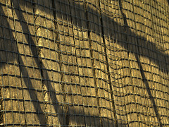 Shadows On The Bridge 2