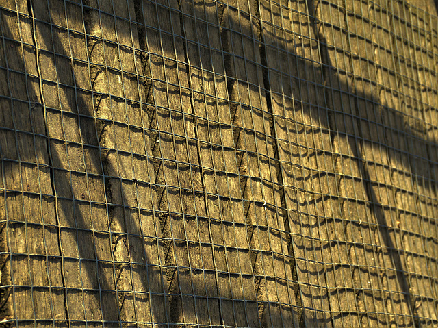 Shadows On The Bridge 2