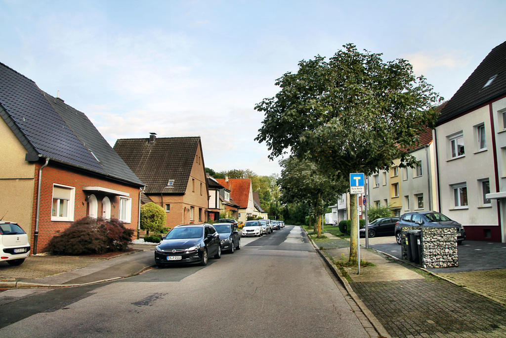 Zollstraße (Wattenscheid-Höntrop) / 30.08.2021