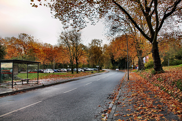 Hiltroper Straße (Bochum-Grumme) / 11.11.2023