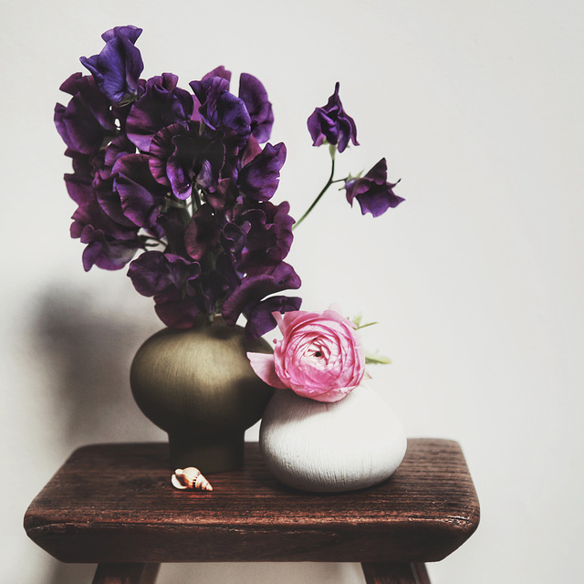sweet peas and ranunculus 1