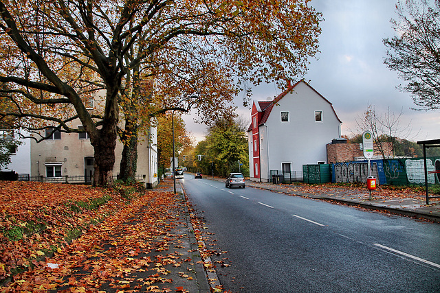 Hiltroper Straße (Bochum-Grumme) / 11.11.2023