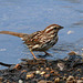 Wet feet (Explored)