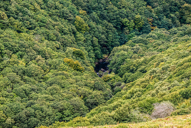 Dartmoor, River Dart - 20150831