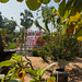 Zwischenhalt in einer Gärtnerei ... auf dem Weg von Bagan nach Kalaw (© Buelipix)